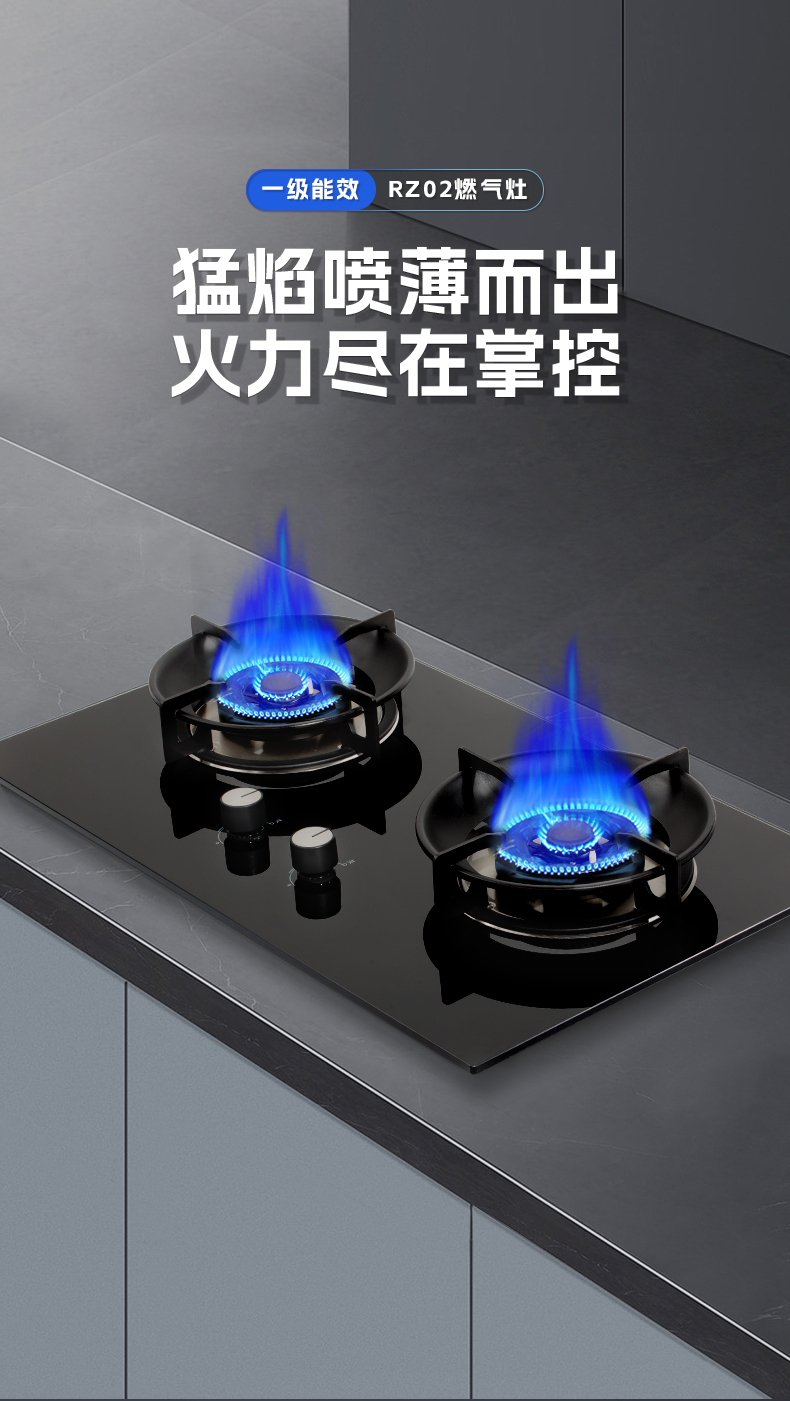燃?xì)庠頡Z02