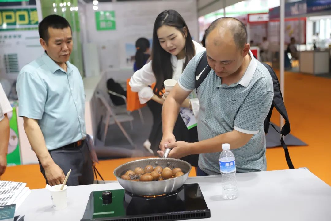 純電烹飪時代正式啟航！板川電能明火點燃未來新格局!